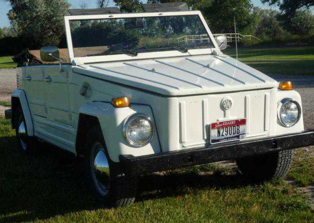 73 vw thing for sale